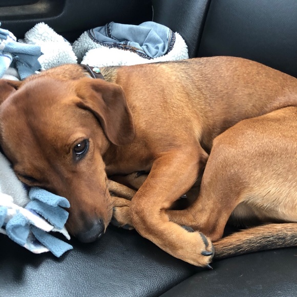 Meet your Posher, Melanie - Picture 1 of 1